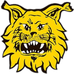 Tampereen Ilves (w)